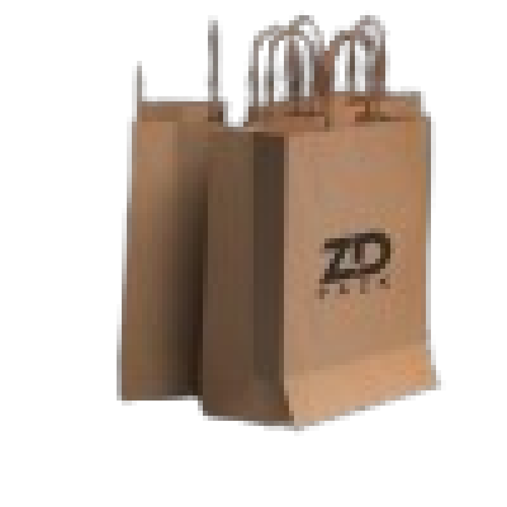 PAPER BAG BROWN TWISTED HANDLE