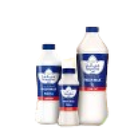 Fresh Milk 500ml Low Fat