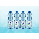 Immuno Water 500 ML ( 12 Pieces Per Pack )