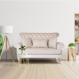 Modern Style, Elegant and Durable Sofa (2-Seater, Design15, Beige)