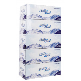 SOFT N COOL FACIAL TISSUES 100 X 2 PLY SILVER PACK (30 PIECES PER CARTON)