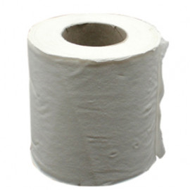 SOFT N COOL TOILET ROLLS  2 PLY 400 SHEETS 10 ROLL (10 PACKETS PER CARTON)