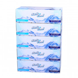 SOFT N COOL  FACIAL TISSUE 150 SHEETS X 2 PLY  OFFER PACK (30 BOXES PER CARTON)