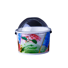 PAPER ICE CREAM CUP WITHOUT LID 250ML (1000 PIECES PER CARTON)