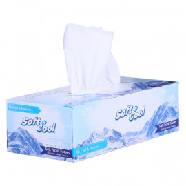 Soft n Cool Facial Tissue, 150 Pulls*2 ply - 5 Box ( 6 Packs Per Carton )
