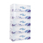 Soft n Cool Facial Tissue, 200 Pulls*2 ply - 5 Box ( 6 Packs Per Carton )