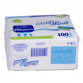 Soft n Cool - Paper Napkin 30 x 30 cm-100 Pieces ( 40 Packs Per Carton )