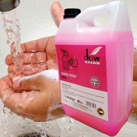 5L Dow Clean Antibacterial Hand wash liquid Soap, Rose
