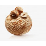 Hazelnut Premium Gelato 4.75 Liter