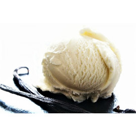 Vanilla Premium Gelato 4.75 Liter per Carton