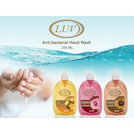 Luv Antibacterial Hand Wash 250 ML