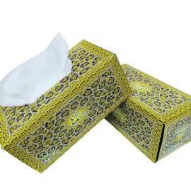 Golden Taj Soft Facial Tissue 500 Sheets
