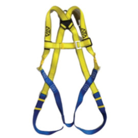 Safety Harness and Lanyard