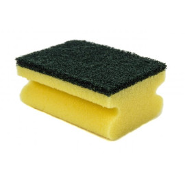 Scouring Sponges