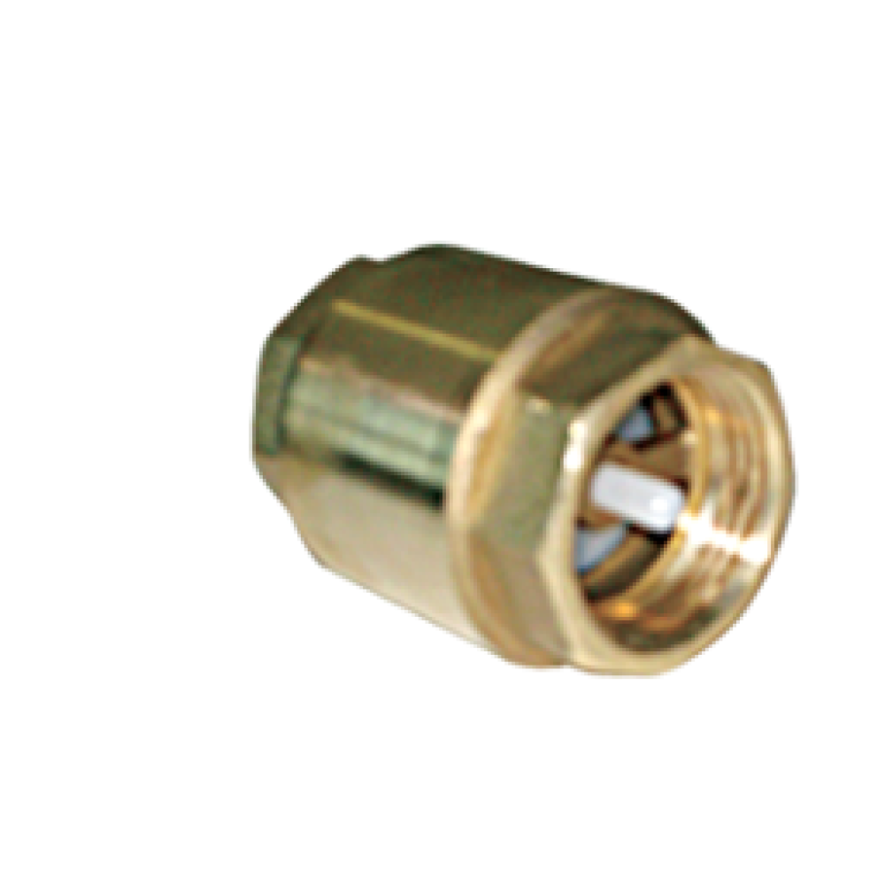 NON RETURN VALVE (OPTIONAL)