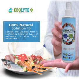 Ecolyte Meat & Seafood Disinfectant 250ml Pack of 32 Pcs I 100% Natural Action, Removes Pesticides & 99.9% Germs With Pure Electrolyzed Water, Safe to Use on Meat & Seafood, Nontoxic and Nonalcoholic.