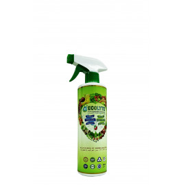 ECOLYTE FRUITS AND VEGETABLES DISINFECTANT 500 ML (fruit and veg disinfectant-24PCS/CARTON)