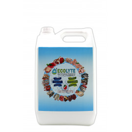 ECOLYTE MEAT AND SEAFOOD DISINFECTANT 5LITRE