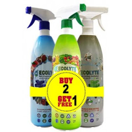 Ecolyte + All in one Disinfectant Bundle ( 1Litre)
