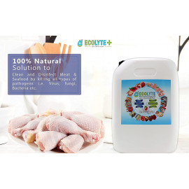 Ecolyte+ All in one Bundle ( 20 Ltr, 3pcs ) Buy Two get one Free | Multi Surface Disinfectant | Fruit and vegetable Disinfectant | Meat and Seafood Disinfectant | Complete Natural Disinfectant Bundle