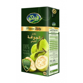 UHT Guava Nectar 200 ML - IFI(32 Pieces Per Carton)