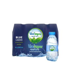 Blue Lagoon Bottled Drinking Water 12 x 250 ml