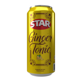 STAR GINGER TONIC CANS  - 300 ML x 24