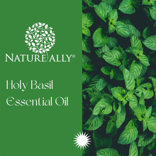 Holy Basil Essential Oil