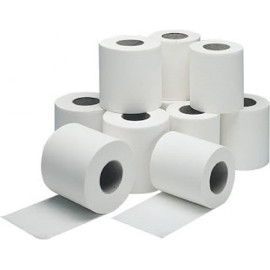 TOILET ROLL 2 PLY 400 SHEETS