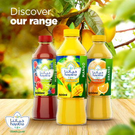 Mango Nectar Juice 500ml