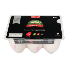 OVA Jumbo White Eggs (6 Tray Per Carton)