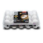 OVA Family Box Large  (24 Box Per Carton)