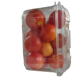 CHERRY TOMATO ORGANIC (EF) /KG