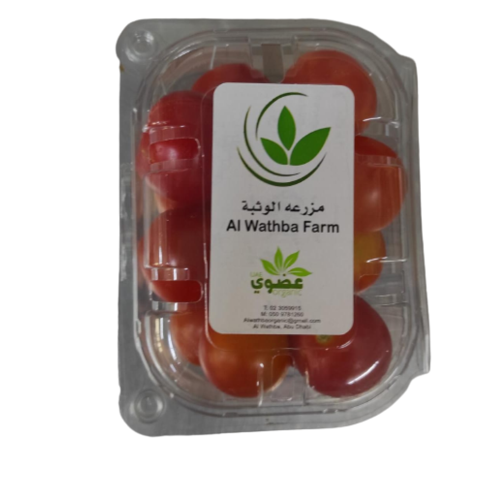 CHERRY TOMATO ORGANIC (EF) /KG
