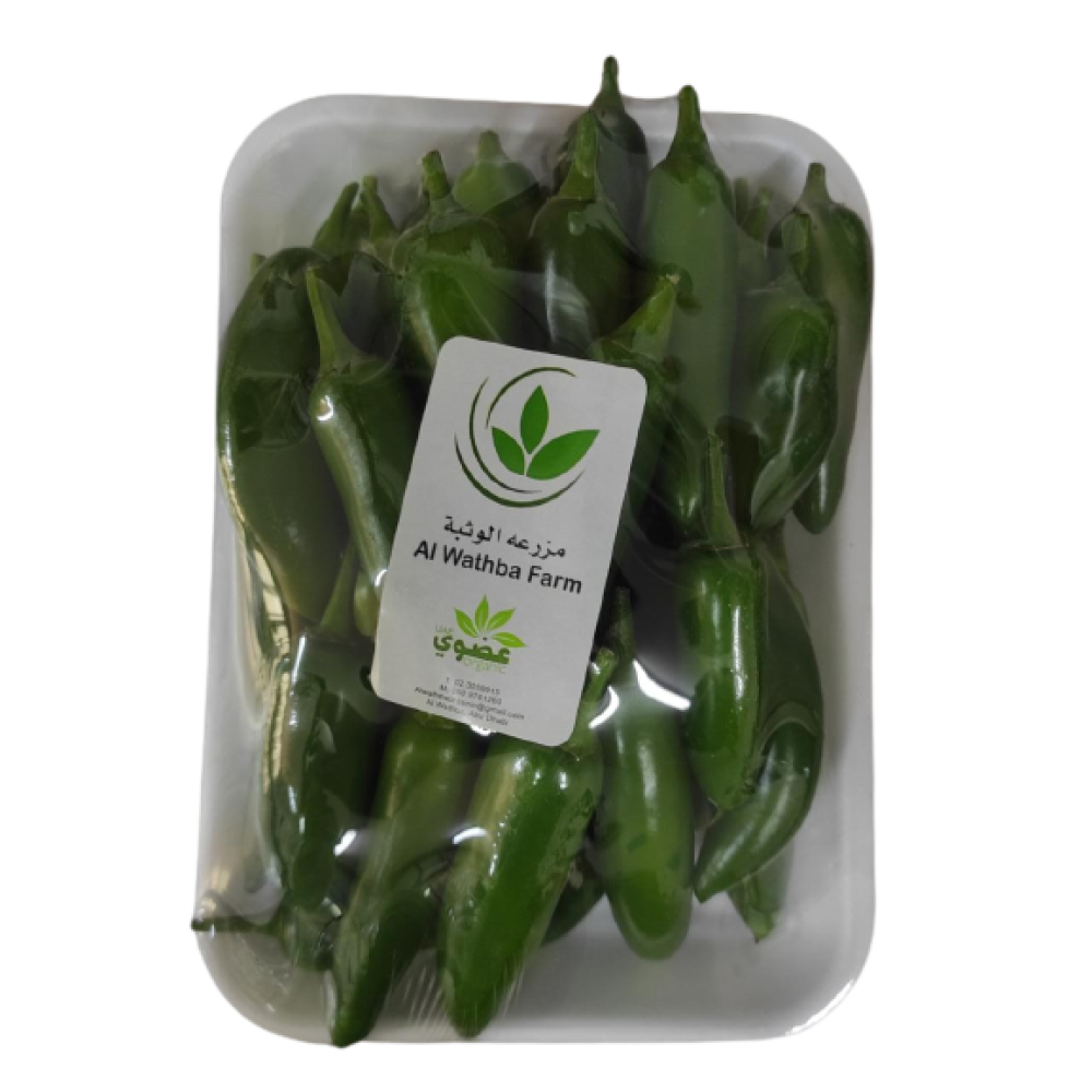 CHILLI HOT ORGANIC (EF) /KG