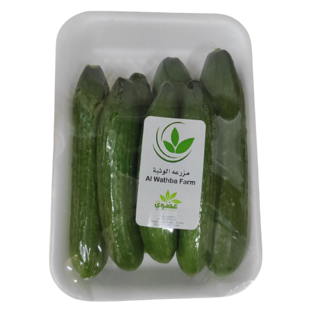 CUCUMBER LOCAL ORGANIC (EF) /KG