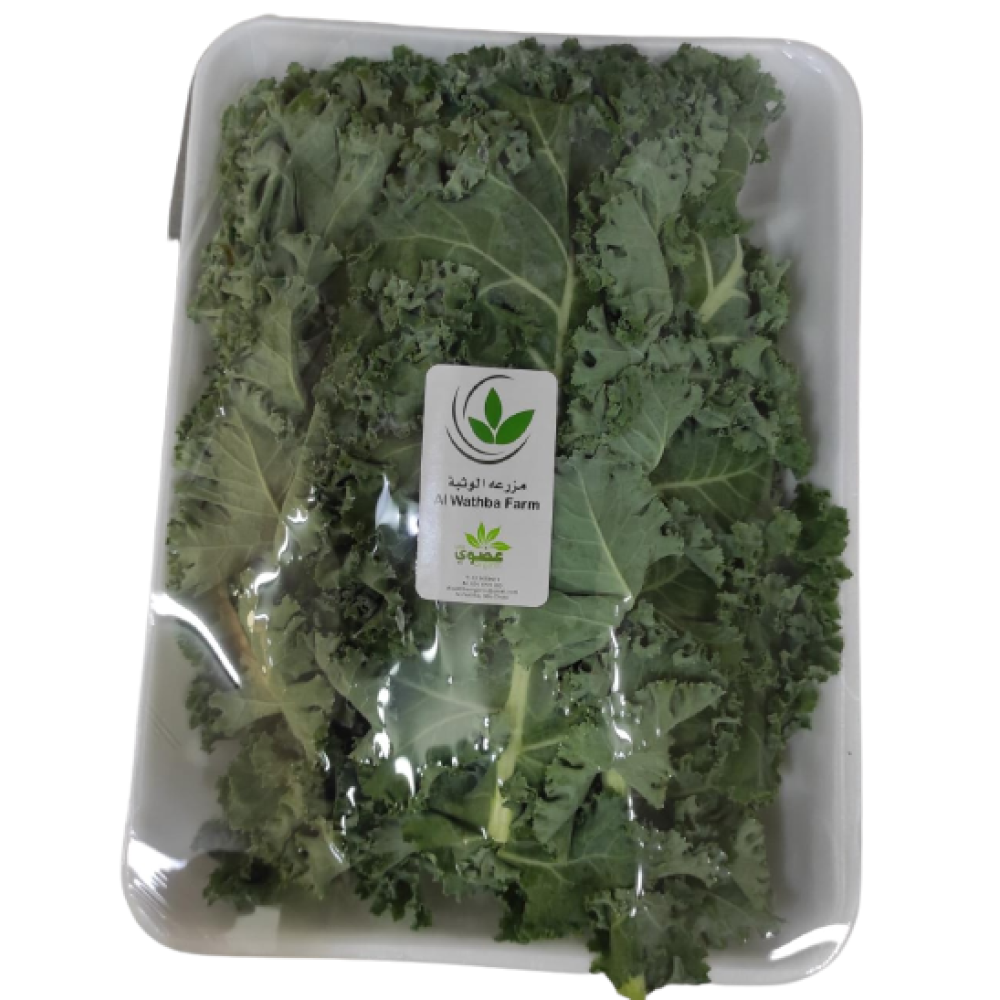 GREENKALE PLANT ORGANIC (EF) /KG