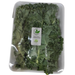 GREENKALE PLANT ORGANIC (EF) /KG