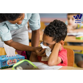 Back To School Special offer Soft Facial Tissue 30 Boxes, 130 Sheet, 2 ply (3900 Tissues Total) - Lotus Alwadi
