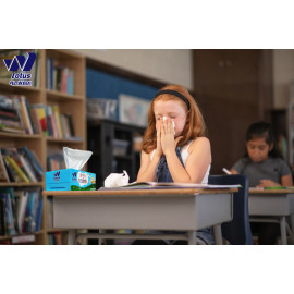 Back To School Special offer Soft Facial Tissue 30 Boxes, 130 Sheet, 2 ply (3900 Tissues Total) - Lotus Alwadi